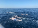 Traversata 27 giugno 2019-11