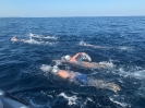 Traversata 27 giugno 2019-12
