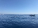 Traversata 27 giugno 2019-14