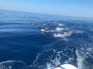Traversata 27 giugno 2019-9